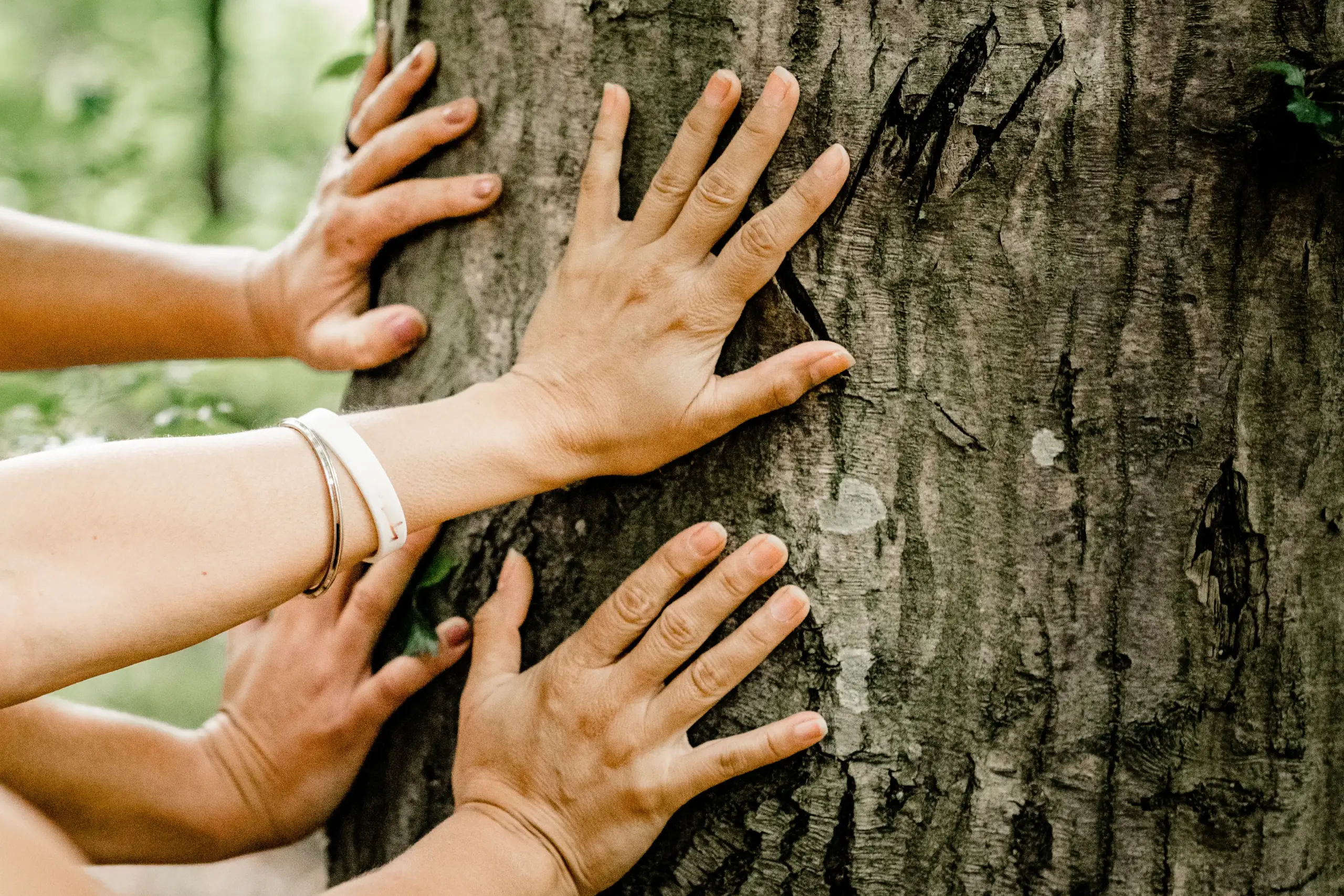 Symbolbild Sport und Bewegungstherapie